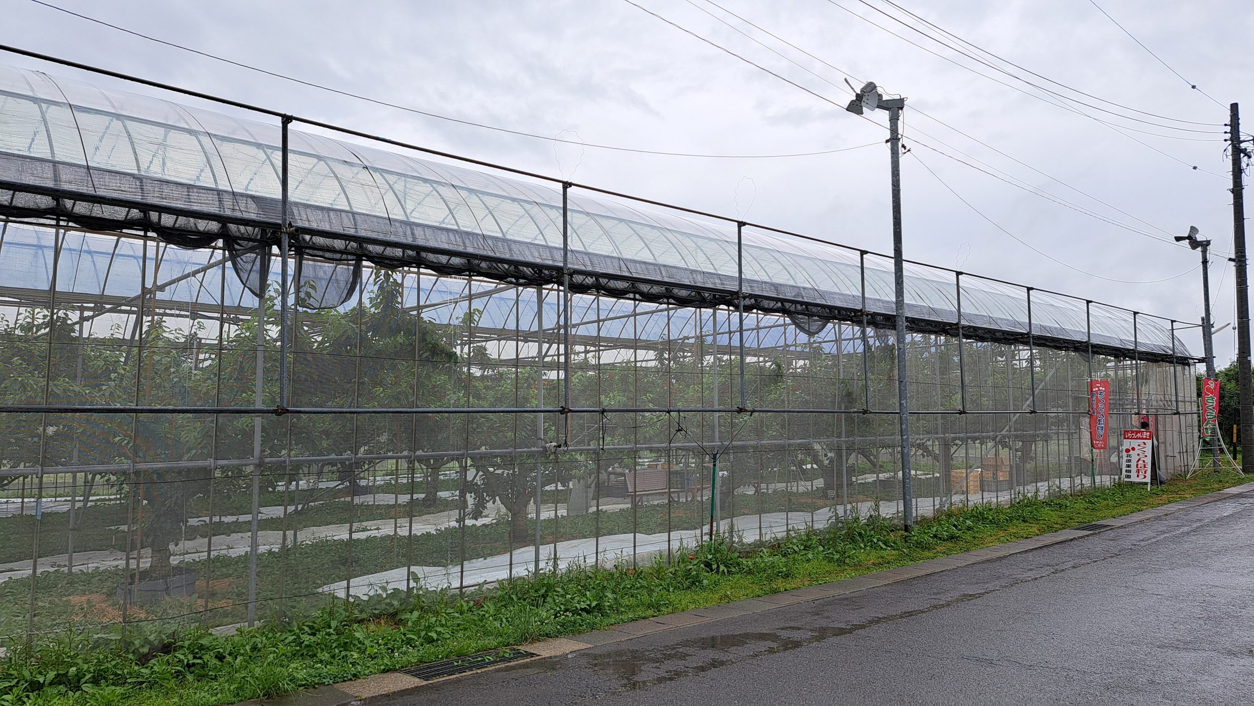 クリックして拡大表示