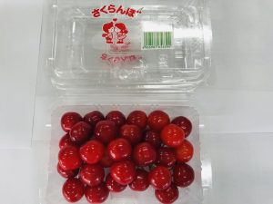 サクランボ狩り<br>お土産200g<br>バラ詰 現地販売